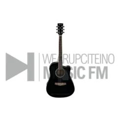 Guitar: Digital Guitar in Indiana